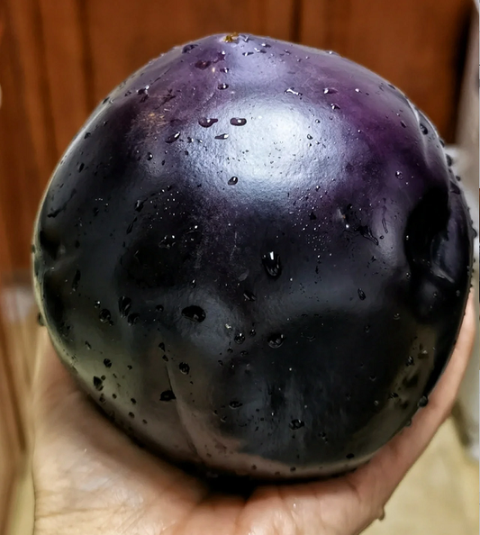 Black And Purple Eggplant Seeds