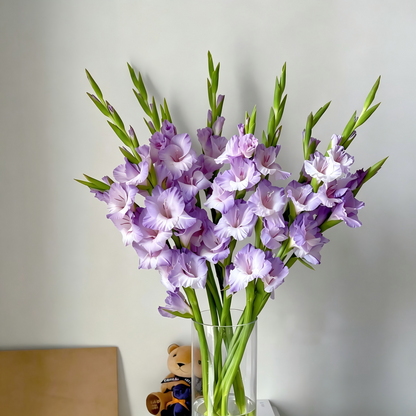 Gladiolus Bulbs-Florist-Quality Blooms•Elegant Cut Flowers