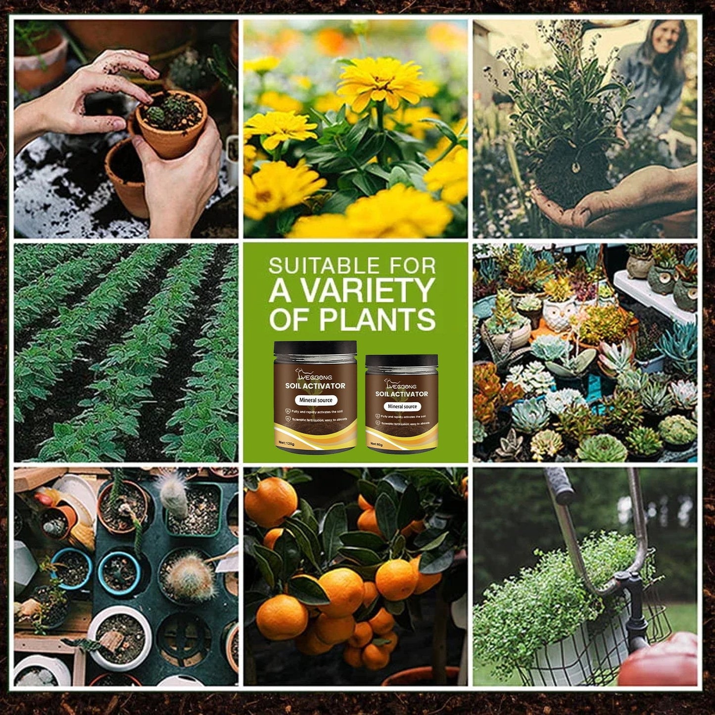 Soil Activator: Plants' Best Friend - Rejuvenate Your Plants