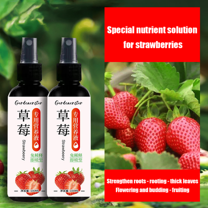 Strawberry-Specific No-Dilution Nutrient Solution 🍓🌿