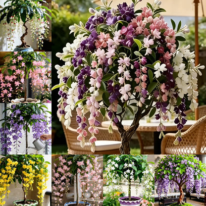 Last Day Up to 50% OFF💐Rare Weeping Jasmine Flowers Bulbs