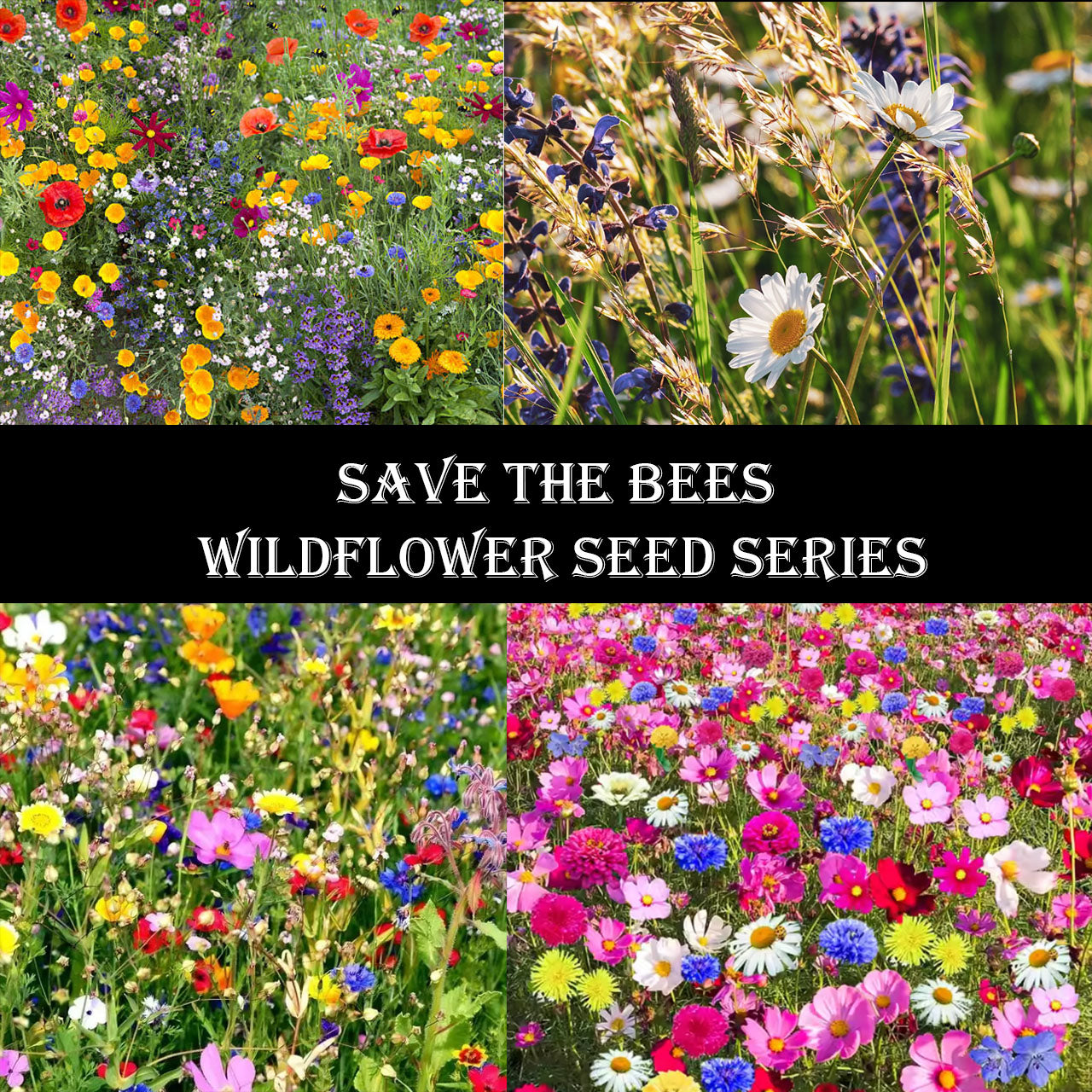 🐝Insect-friendly🔥Over 60 Mixed Perennial Flower Seeds🌿Pure Non-GMO