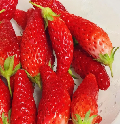 Rare Chili Strawberry Fruit Seeds