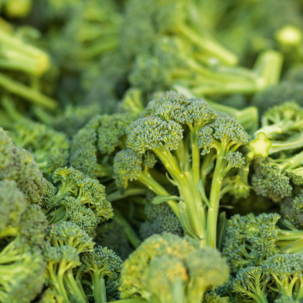 🥦Rare Broccolini Seeds