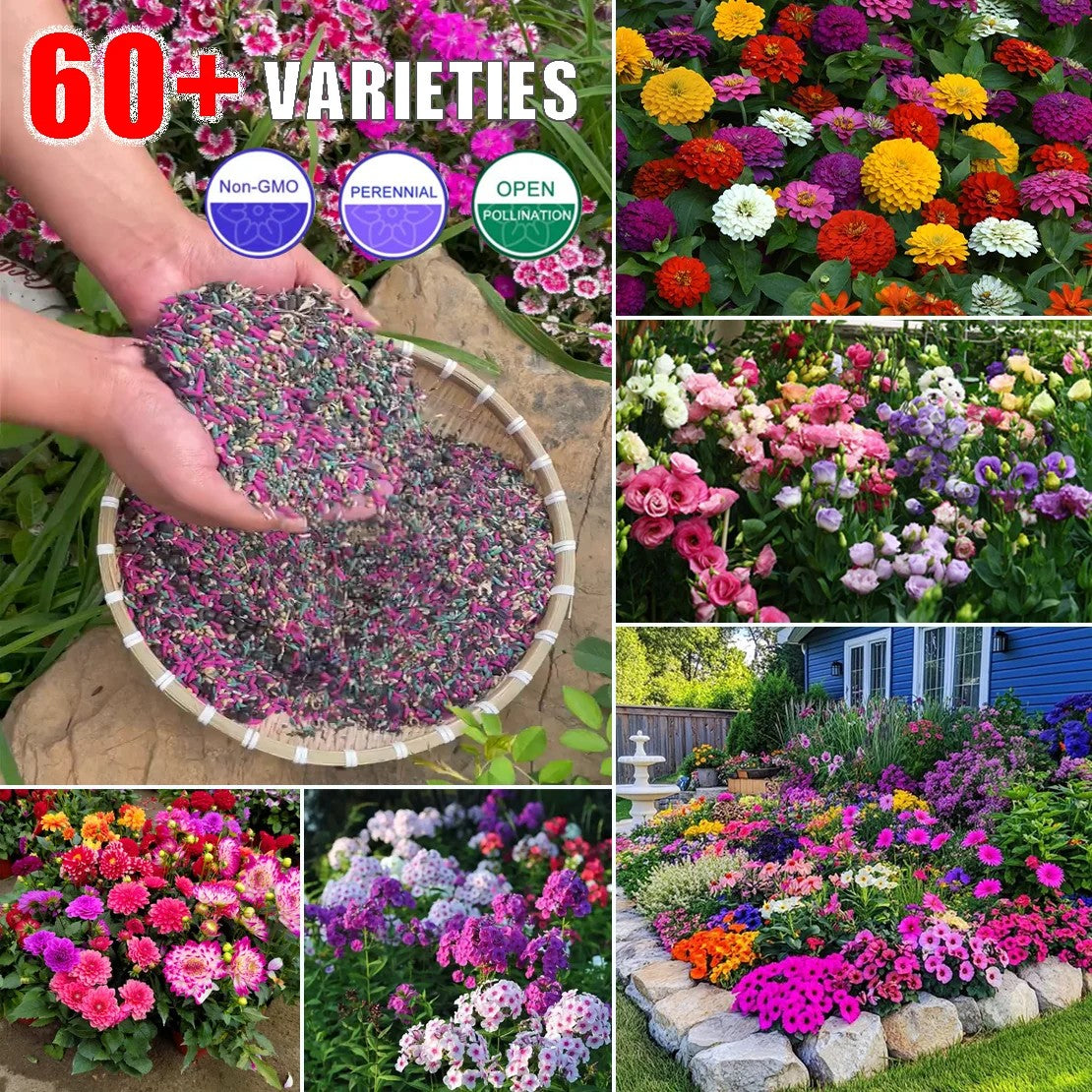 🔥Four Seasons Wildflower Seeds – Over 60 Mixed Perennial Varieties🌸