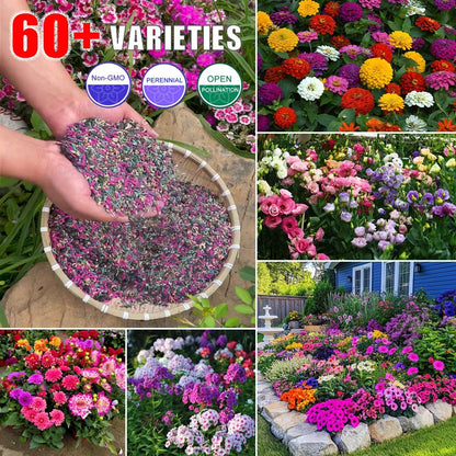 🔥Four Seasons Wildflower Seeds – Over 60 Mixed Perennial Varieties🌸