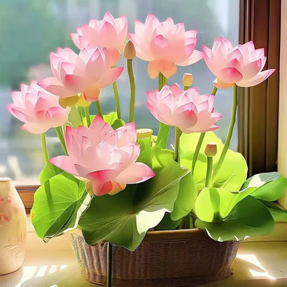 🌸LAST DAY Promotion 35% OFF🌸 Hydroponic Lotus 🌸 | Fresh, Simple & Beautiful(🌱Survival Guaranteed: Free Replacements🌿)