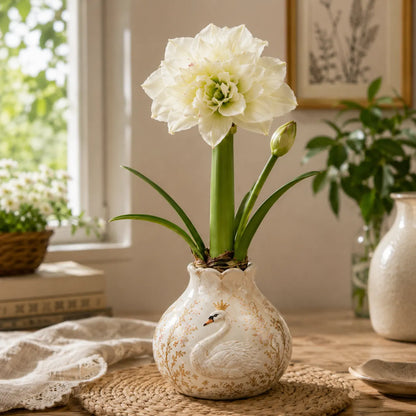 🌺 Waxed Double Amaryllis Bulbs – No Soil, No Water, Just Watch It Grow