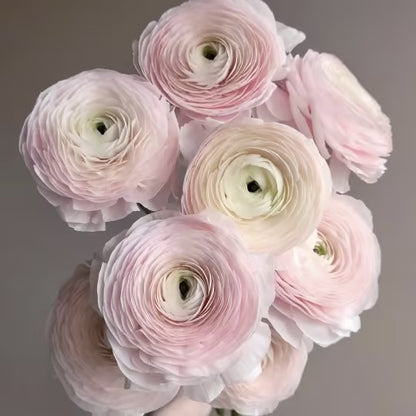 Buttercup Peony-Integrate Elegance And Luxury Into One