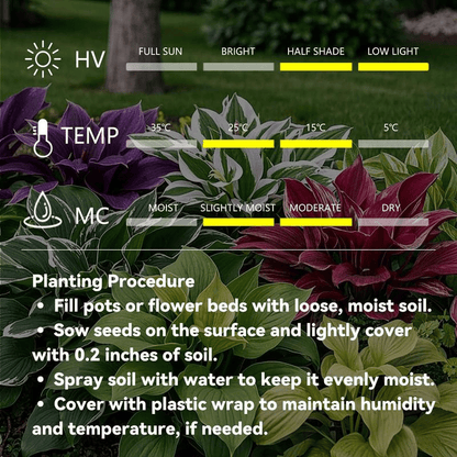🌿Garden Favorite Hosta Bulbs – Lush Foliage, Shade-Loving Perennial Garden Plants🪴