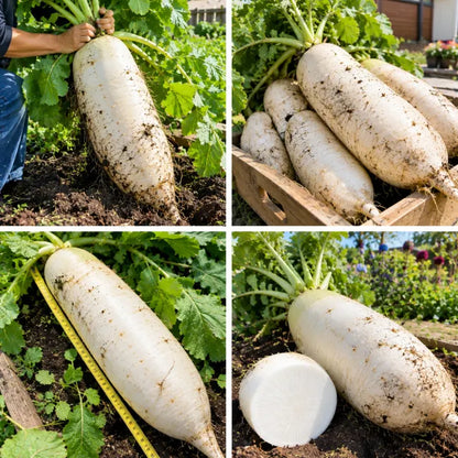 🥕 Giant Carrot — Winter Vegetable Savior