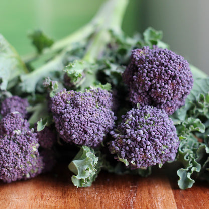 🥦Rare Broccolini Seeds