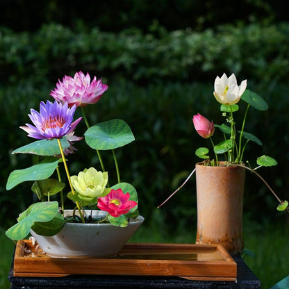 💐The Sacred Bonsai Bowl Lotus Flower