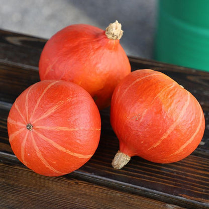 Squash Steph Kuri F1 Organic