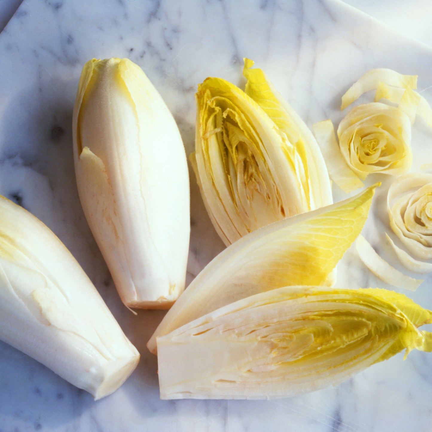 Fresh Belgian Endive