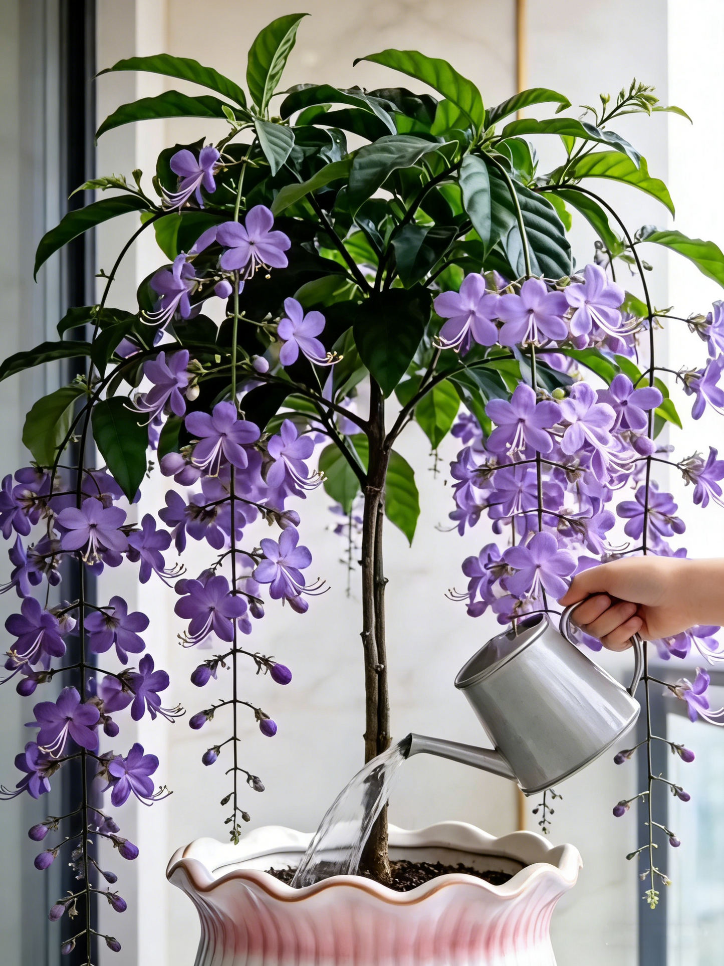 Last Day Up to 50% OFF💐Rare Weeping Jasmine Flowers Bulbs