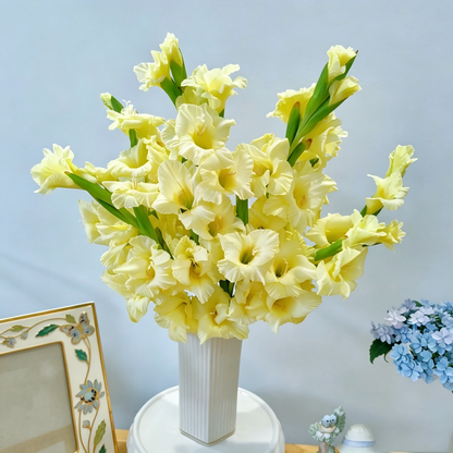 Gladiolus Bulbs-Florist-Quality Blooms•Elegant Cut Flowers
