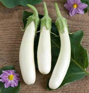 Creamy White Eggplant Seeds