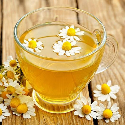 Chamomile Seeds - Roman