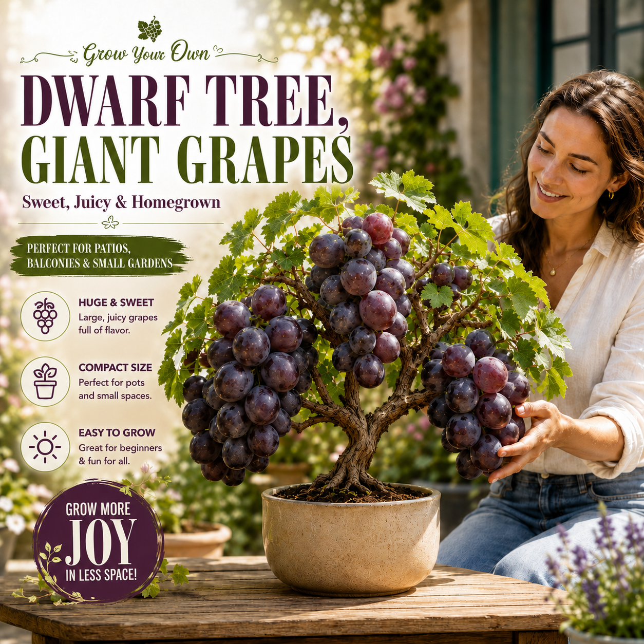 🍇🪴Dwarf Tree Giant Grapes Seeds - Big, Juicy Grapes for Patios & Small Spaces