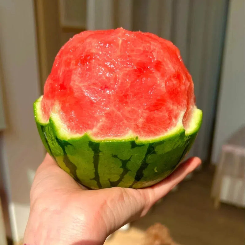Potted Watermelon Seeds