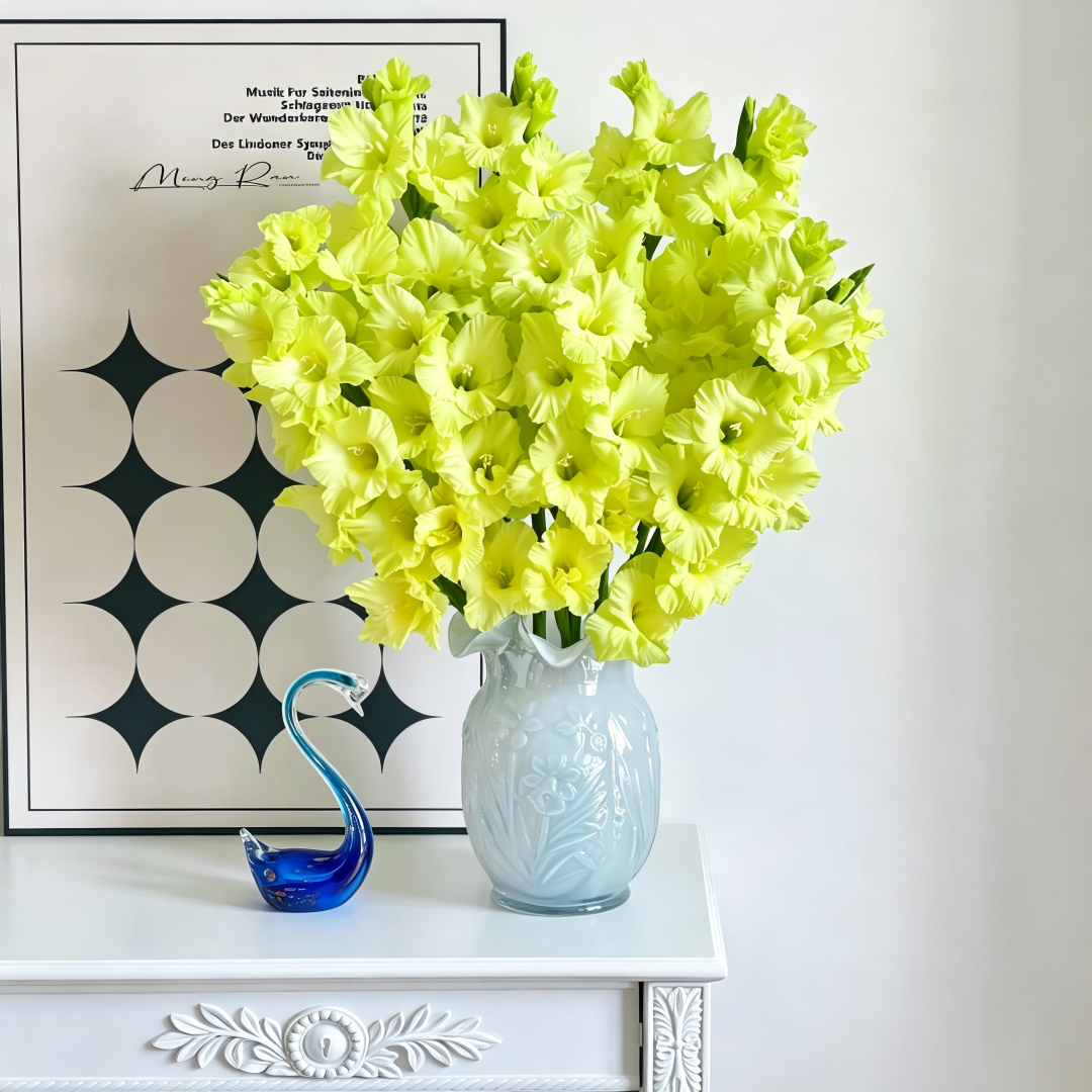 Gladiolus Bulbs-Florist-Quality Blooms•Elegant Cut Flowers