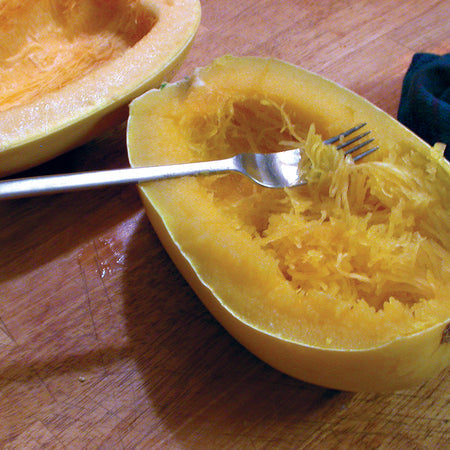 Vegetable Spaghetti, Squash Seeds