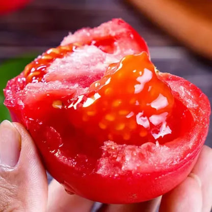 🍅🍅Potted Dwarf Tomato Seeds
