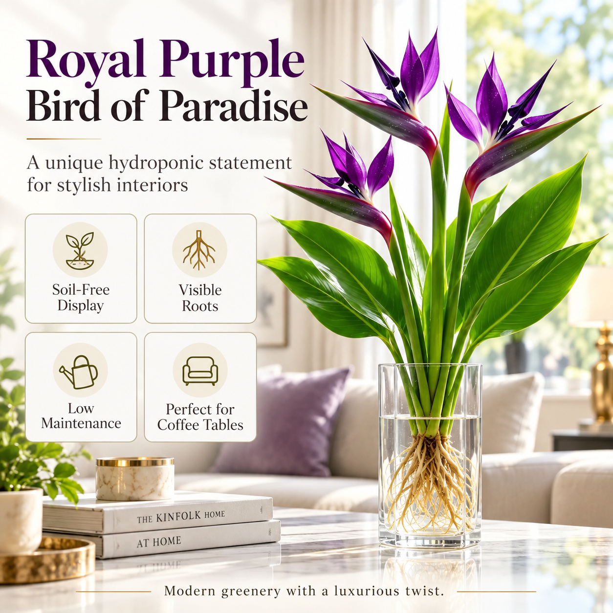 🕊️Hydroponic bird of paradise, from bulb to flowering, is incredibly therapeutic.