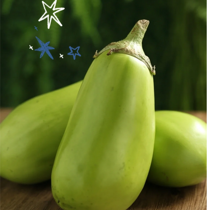 Green Eggplant Seeds