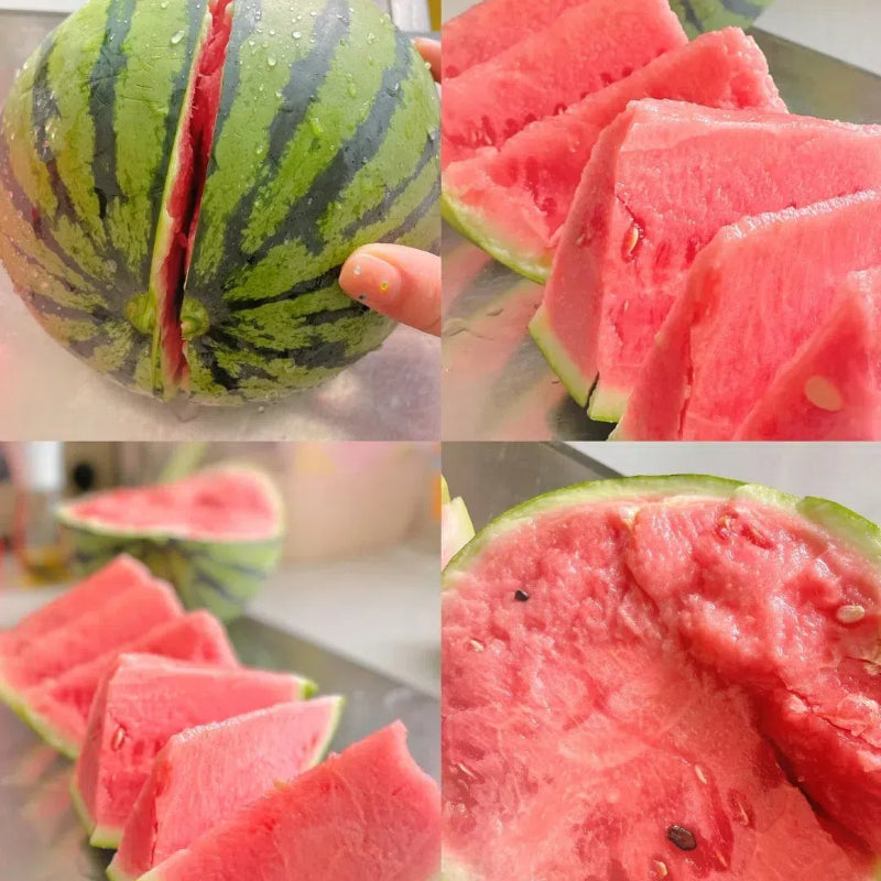 Potted Watermelon Seeds