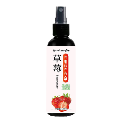 Strawberry-Specific No-Dilution Nutrient Solution 🍓🌿