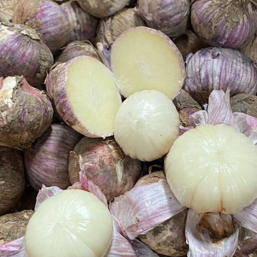 Solo Garlic: Healthy Onion without GMO Ingredients