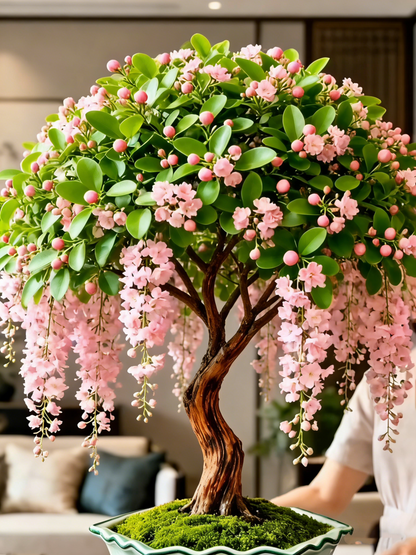 Last Day Up to 50% OFF💐Rare Weeping Jasmine Flowers Bulbs