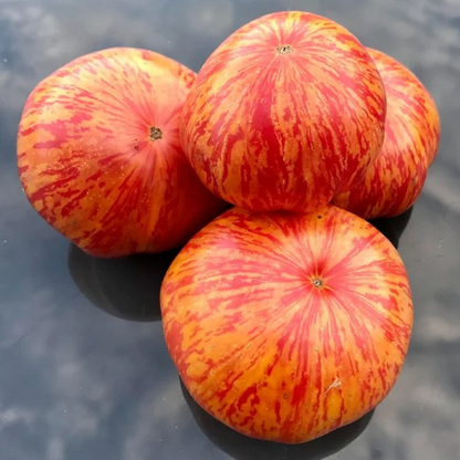 Heirloom Tomato Seeds-Red Zebra