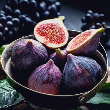 Rainbow Fig Seeds