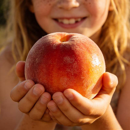 HoneyRed Orchard Seeds – Dwarf Peach Tree