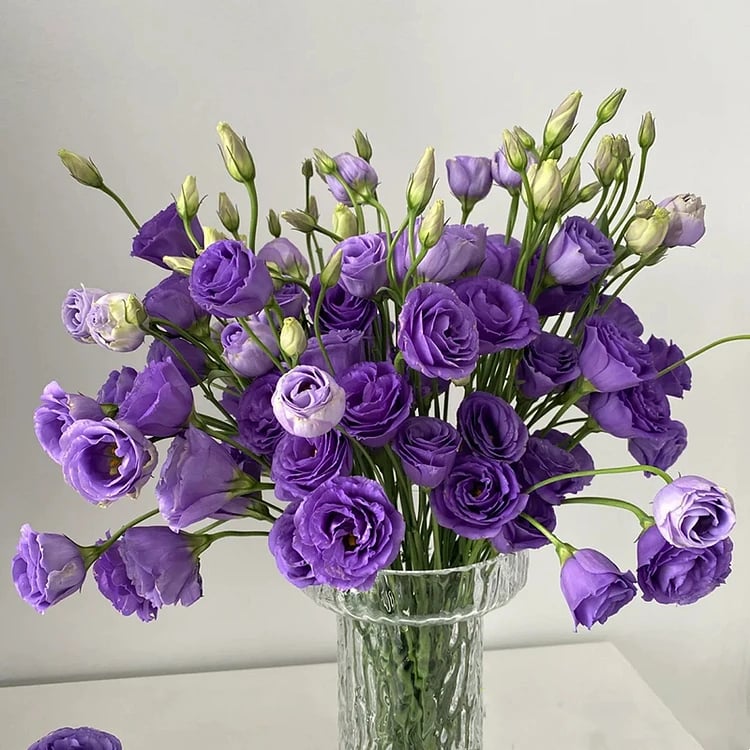 Hardy Perennial Lisianthus Seeds RHS Certified for British Garden Beds Beginner Friendly