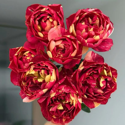 🌹 Rare Striped Rose Seeds