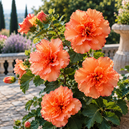 🌸 Rare Ruffled Jewel Flower Bulbs – Giant Layered Blooms for Elegant Gardens & Patios