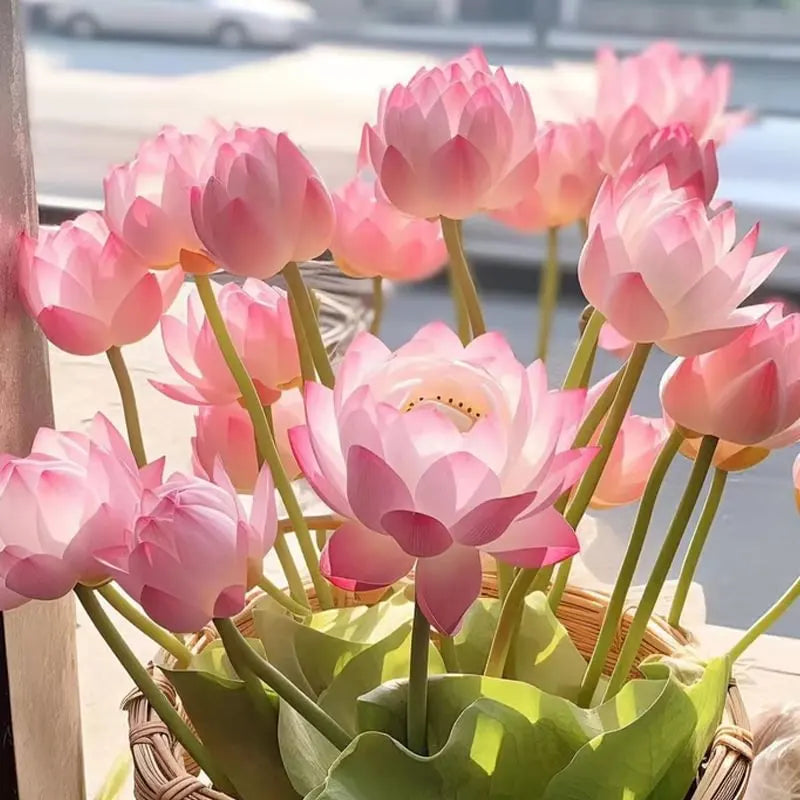 💧 The Sacred Bonsai Bowl Lotus Flower