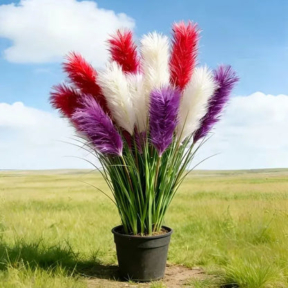 🪶Vibrant Mixed‑Color Ornamental Pampas Grass Seeds | Elegant Tall Feathery Garden Grass