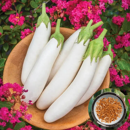 Creamy White Eggplant Seeds