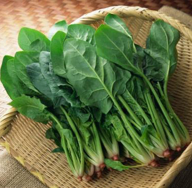 Spinach In The Snow Seeds
