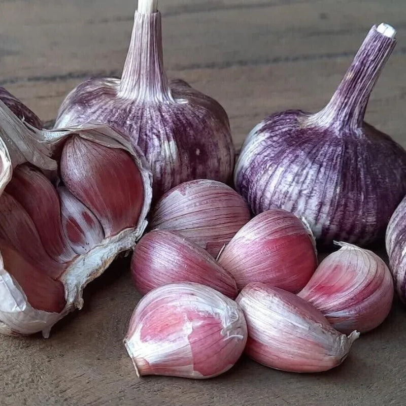 Solo Garlic: Healthy Onion without GMO Ingredients