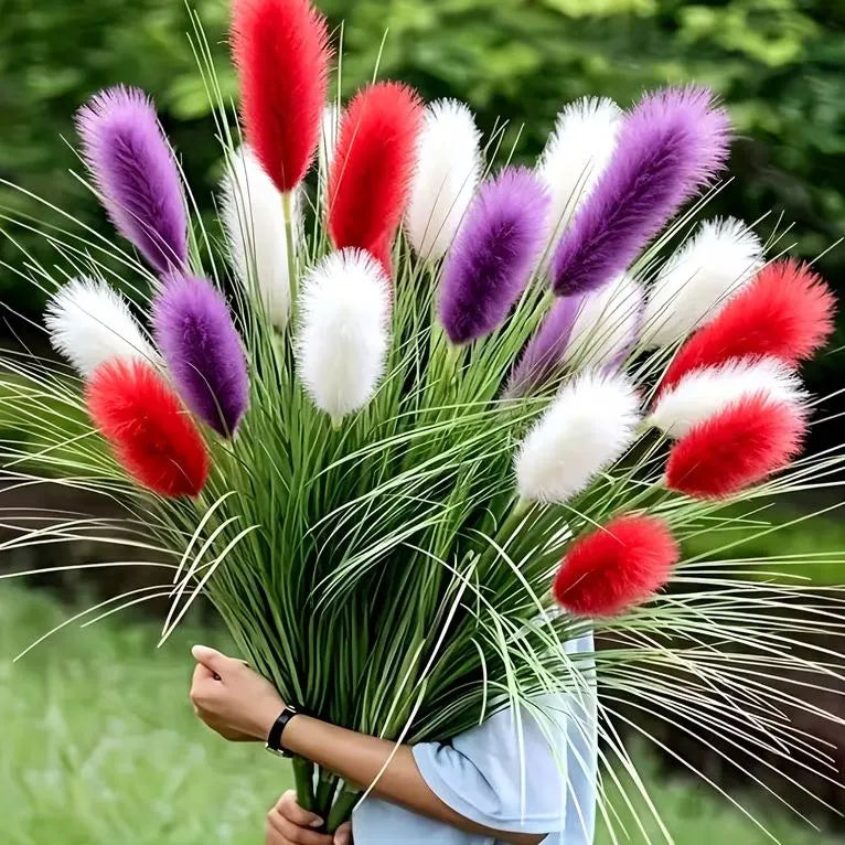 🪶Vibrant Mixed‑Color Ornamental Pampas Grass Seeds | Elegant Tall Feathery Garden Grass