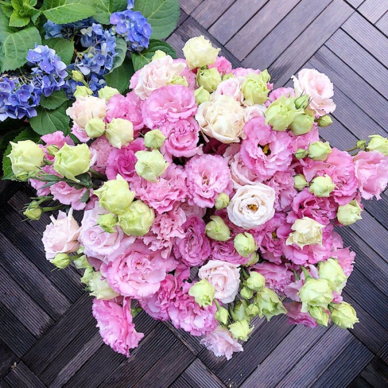 Hardy Perennial Lisianthus Seeds RHS Certified for British Garden Beds Beginner Friendly