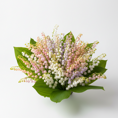 Lily of the Valley Brings Good Luck, Happiness & Purity 🌸