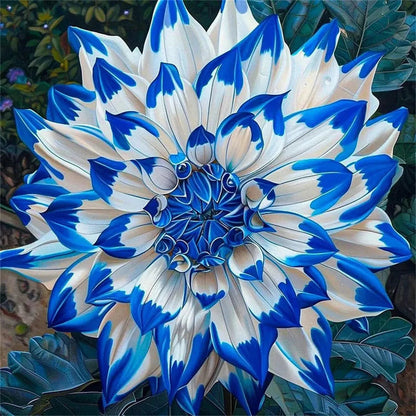 🌺 Rare Double Dahlia Bulbs – Stunning Full Blooms for Your Garden
