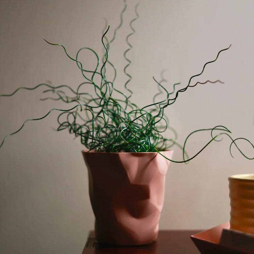 🌿Spiral Grass - Curved and Cute